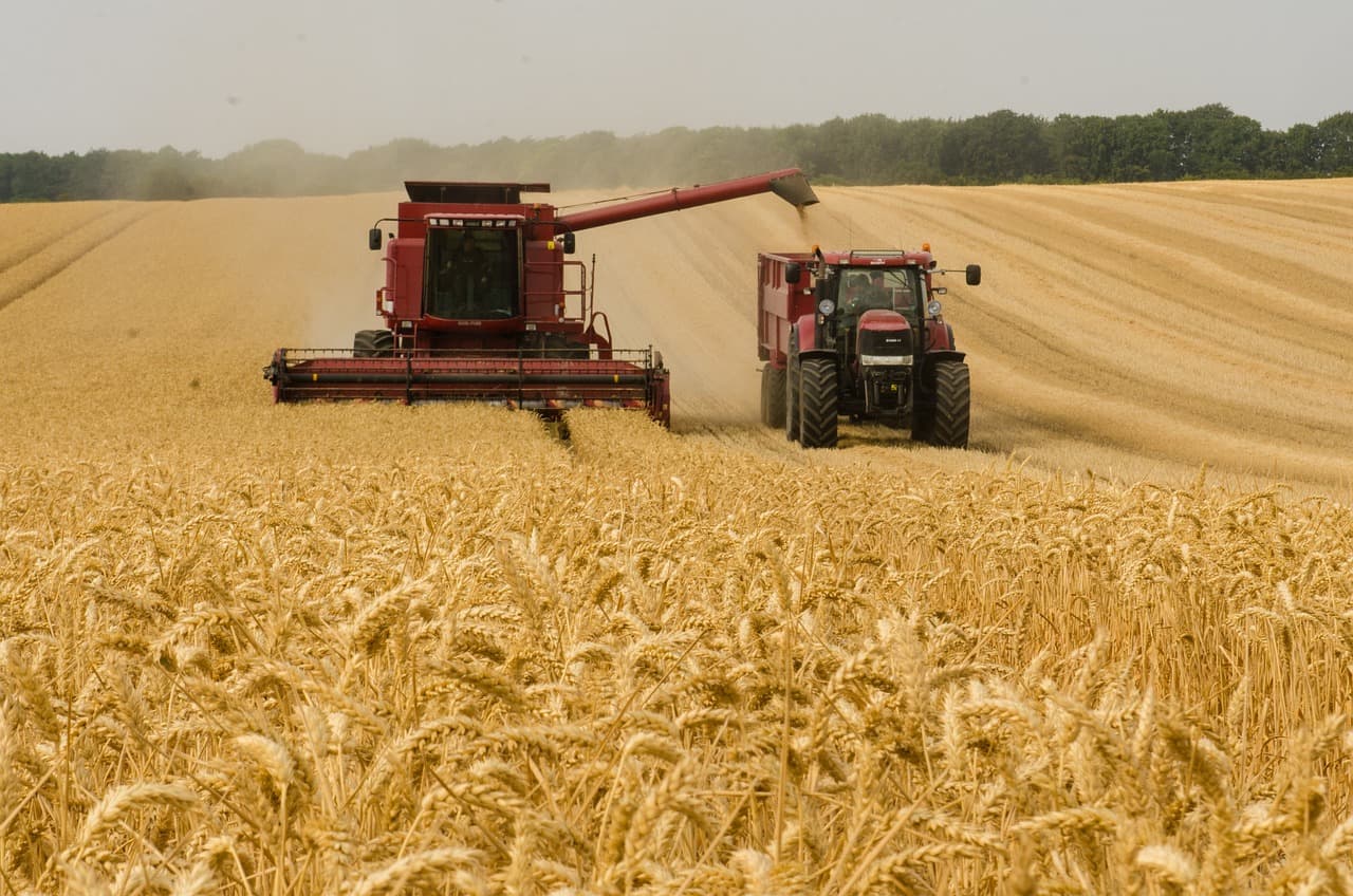 Fondo agroindustrial